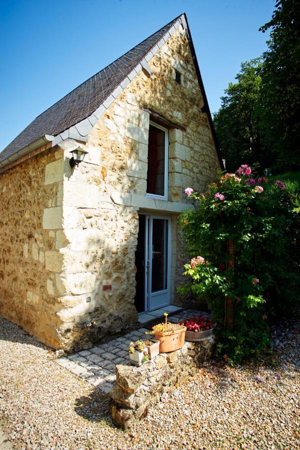Rigny-Ussé Domaine De La Juranvillerie, Gite Et Chambres D'Hotes المظهر الخارجي الصورة