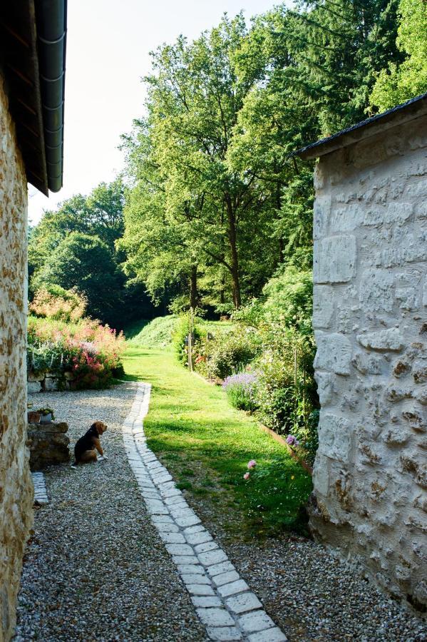 Rigny-Ussé Domaine De La Juranvillerie, Gite Et Chambres D'Hotes المظهر الخارجي الصورة
